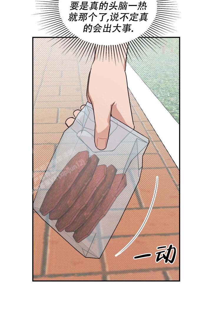 诱饵站和扑鼠器的区别漫画,第48话2图