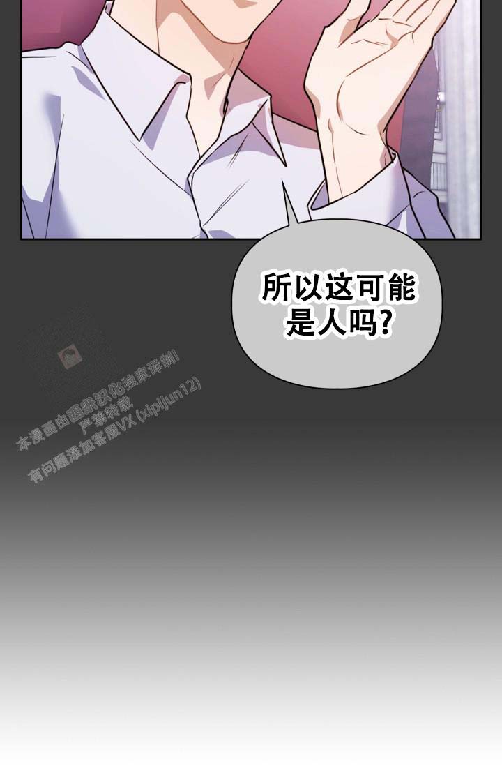 诱饵玉堂免费阅读漫画,第41话1图