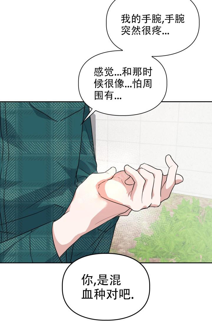 诱饵站投放标准漫画,第19话2图