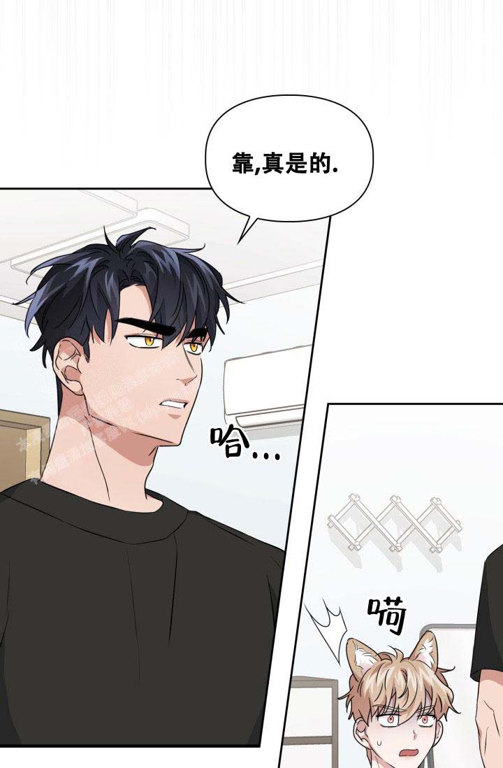 诱饵效应漫画,第37话1图