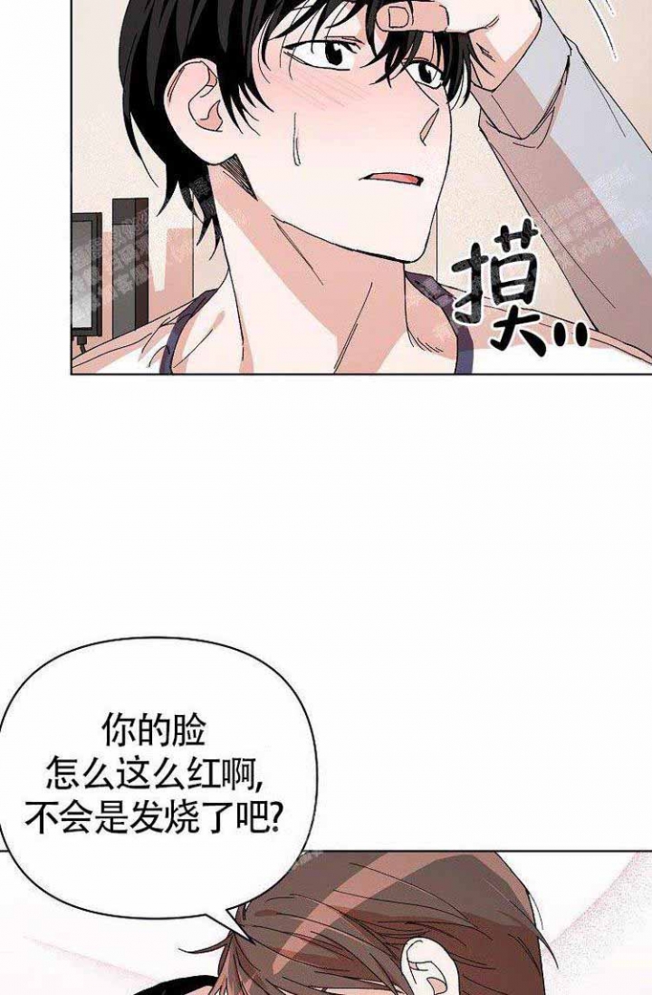 蜜毒漫画,第11话2图