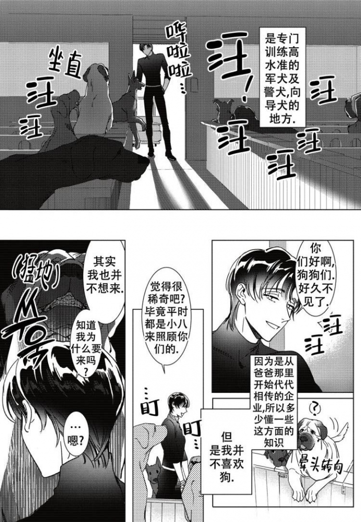 断裂的蚊香怎么点漫画,第3话1图