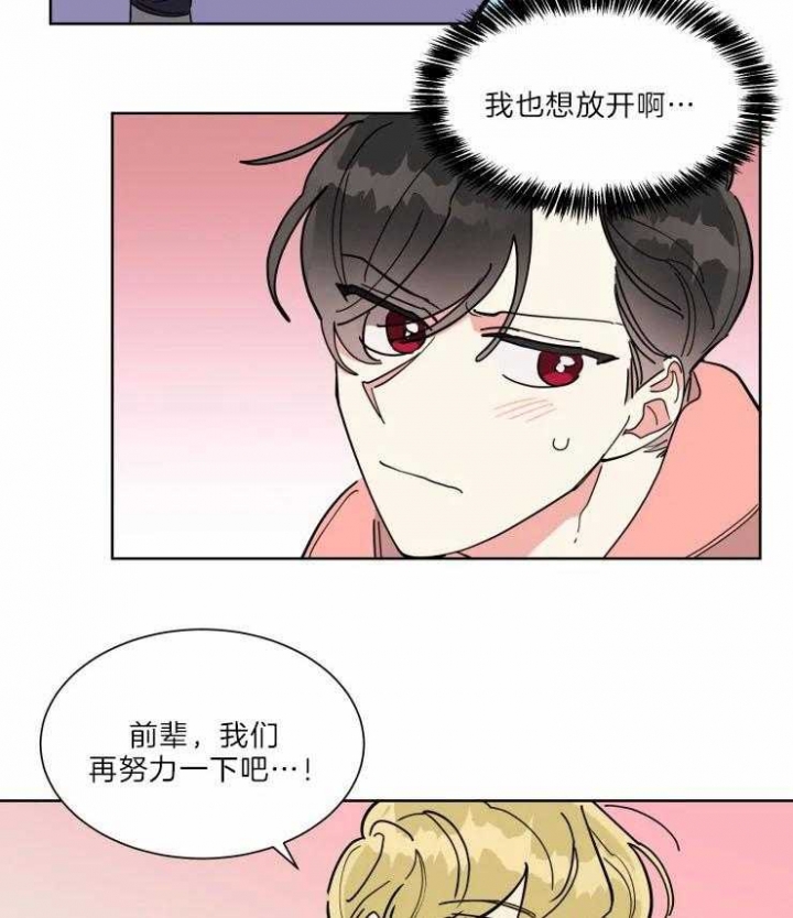 日抛男士内裤是什么材质漫画,第31话2图