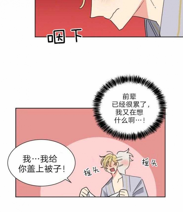 日抛男士内裤是什么材质漫画,第29话2图