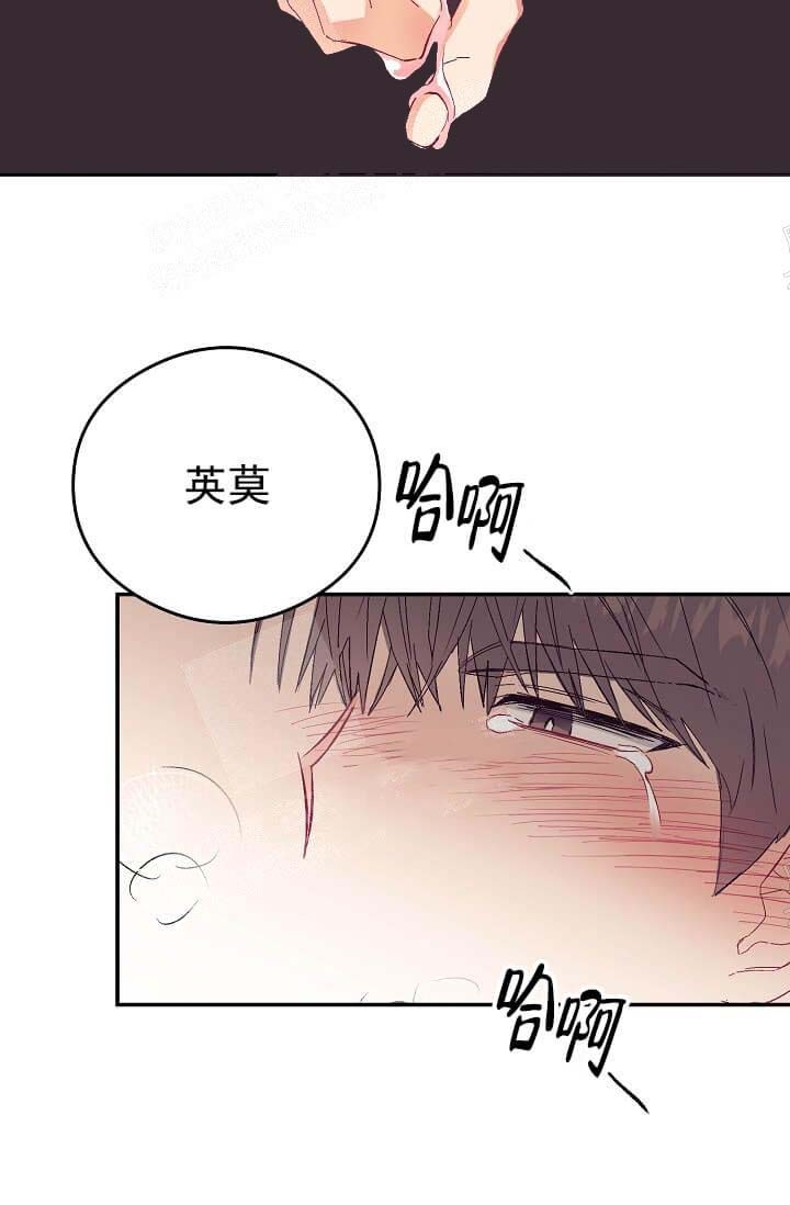 奇妙玩具来袭漫画免费漫画完整无缺页面漫画,第15话1图