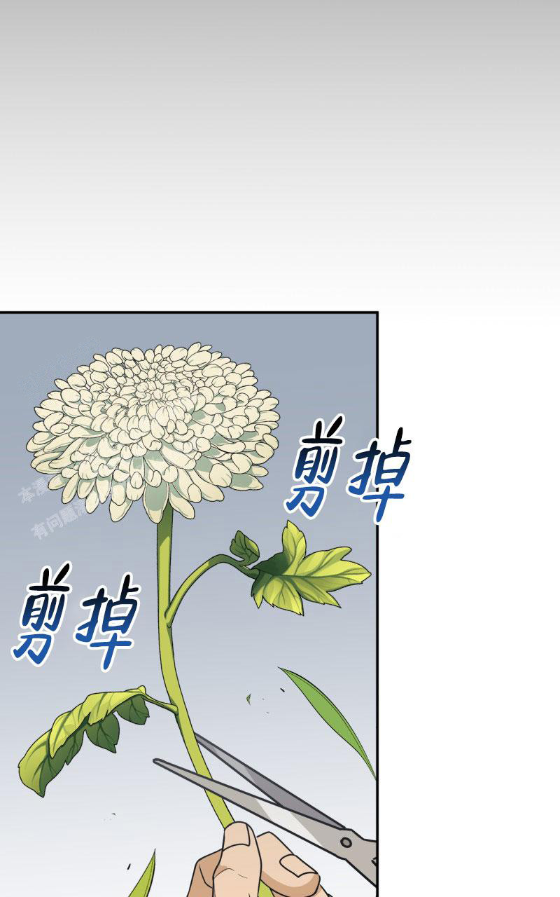 老板的借款可以转为实收资本漫画,第13话2图