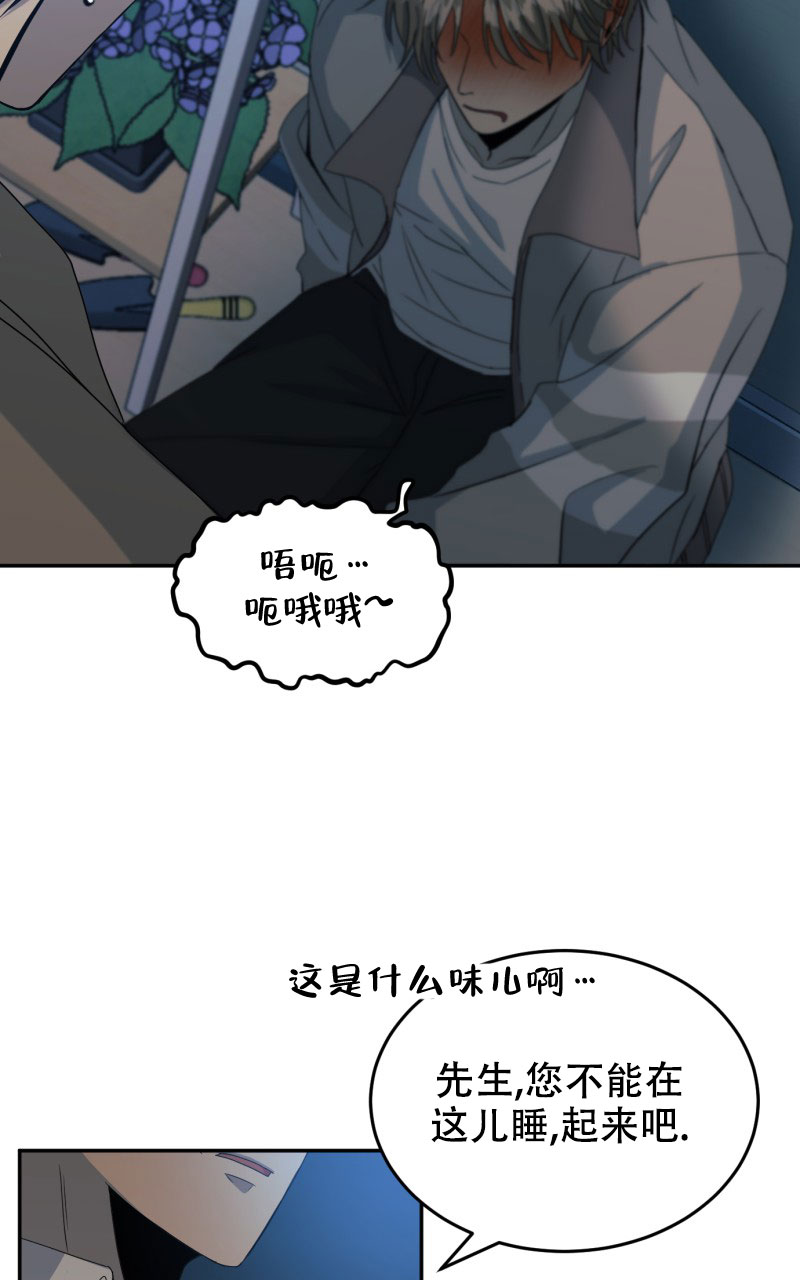 老板的鲜花漫画完整版漫画,第1话2图