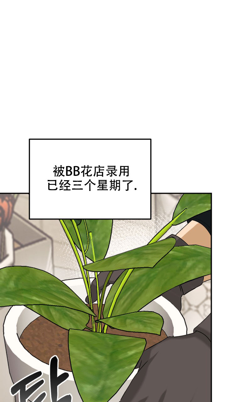 老板的鲜花动漫免费观看漫画,第3话2图