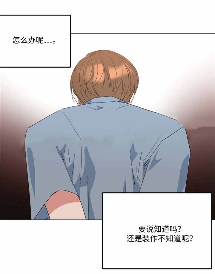 五月树阿卡贝拉乐团漫画,第8话1图