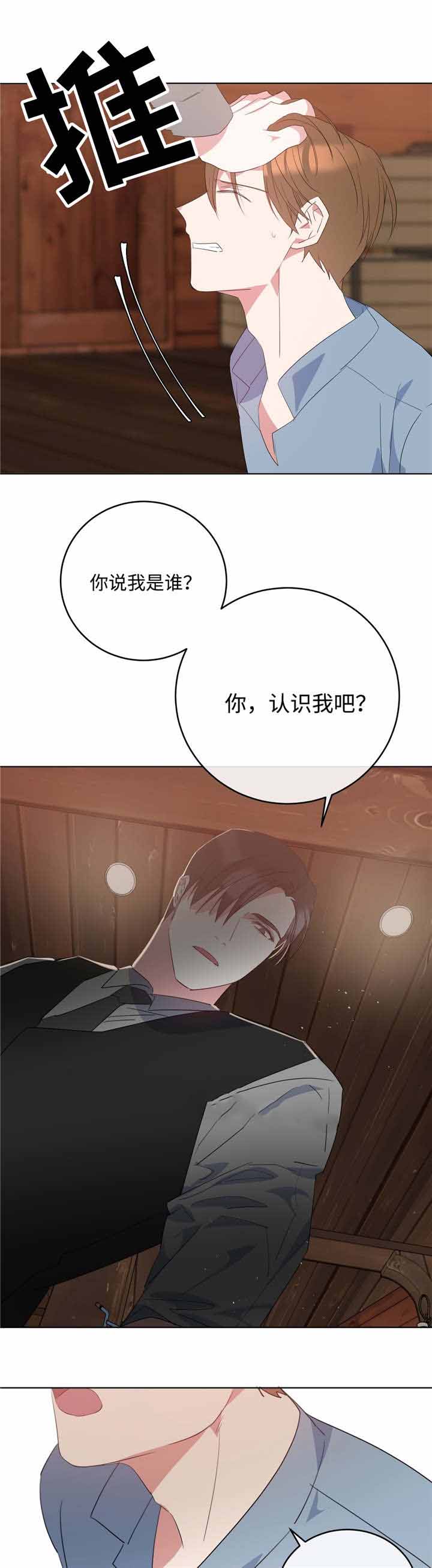 五月树阿卡贝拉乐团漫画,第8话2图