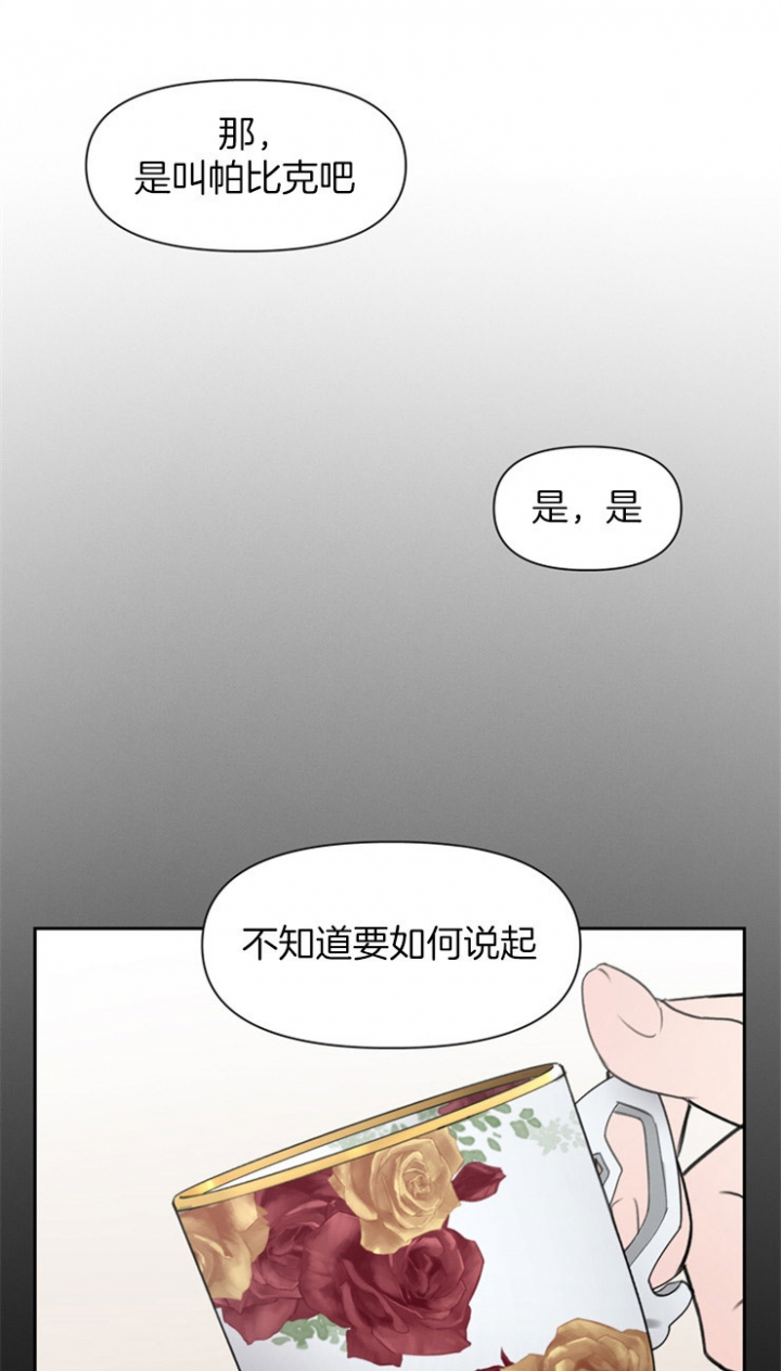 大公阁下的玩具漫画免费阅读未删减漫画,第2话1图