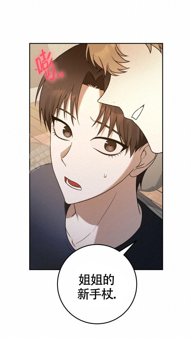 伪装的意思是什么漫画,第35话2图