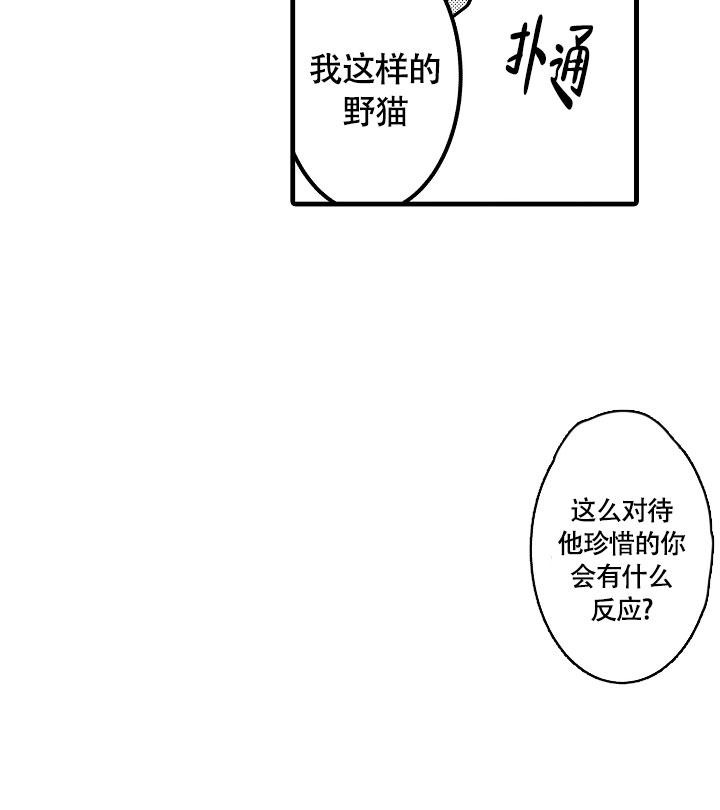 不眠之夜张杰歌词漫画,第14话1图