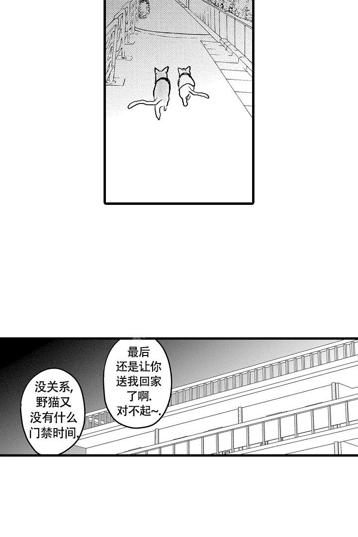 不眠之夜免费观看完整漫画,第12话1图