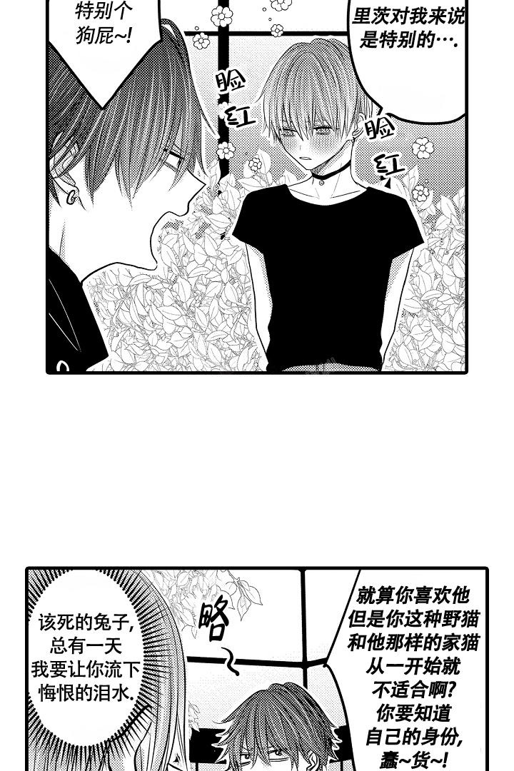 不眠之夜张杰漫画,第17话2图