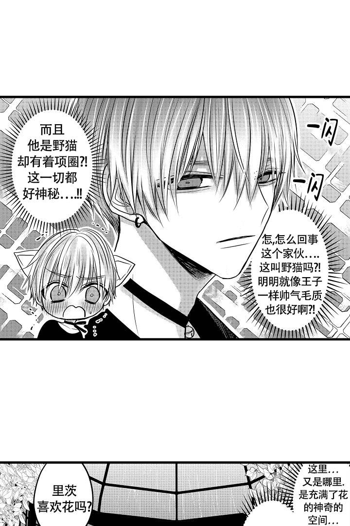 不眠之夜2完整版漫画,第3话2图