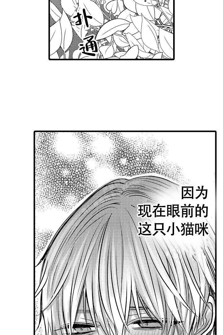 不眠之夜电视剧全集免费观看漫画,第4话1图