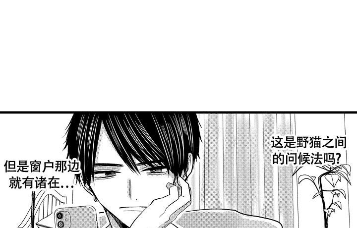 不眠之夜小说全集漫画,第13话1图