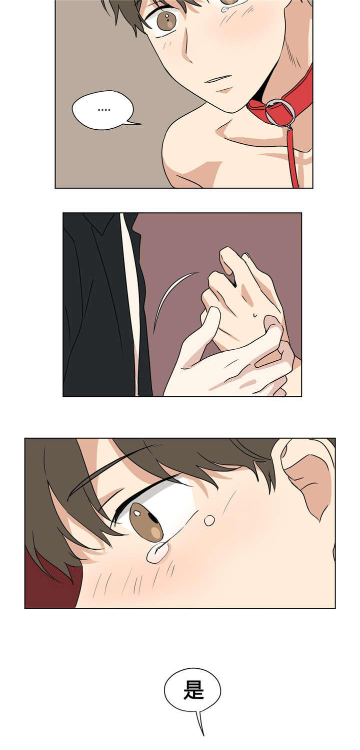 越线抓拍是怎样的漫画,第31话1图