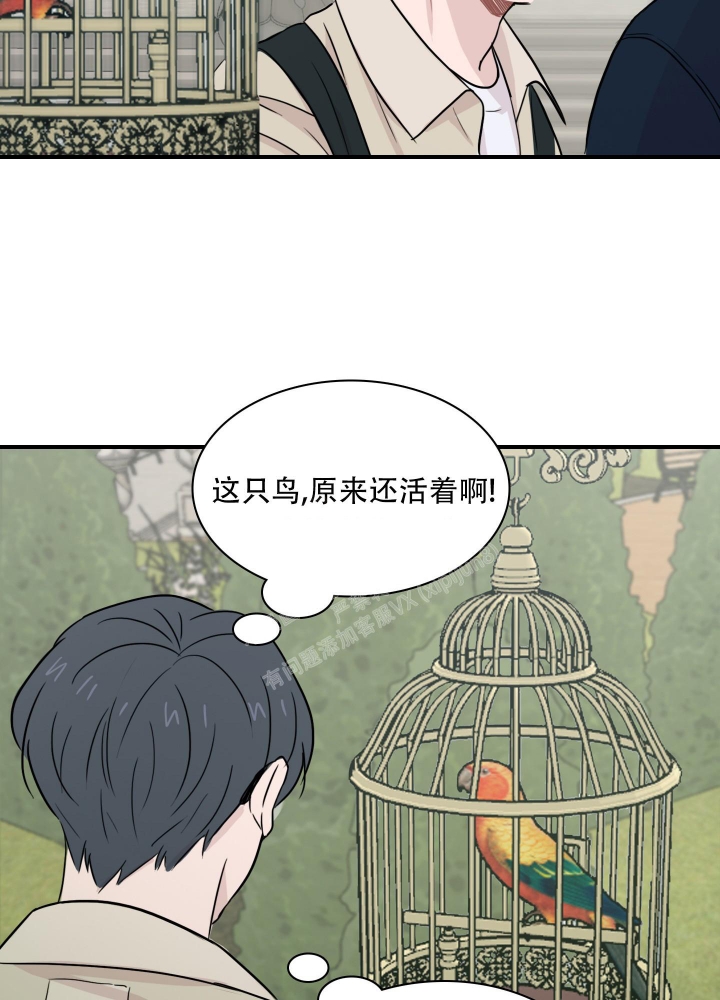 禁锢之爱孙婷漫画,第6话1图