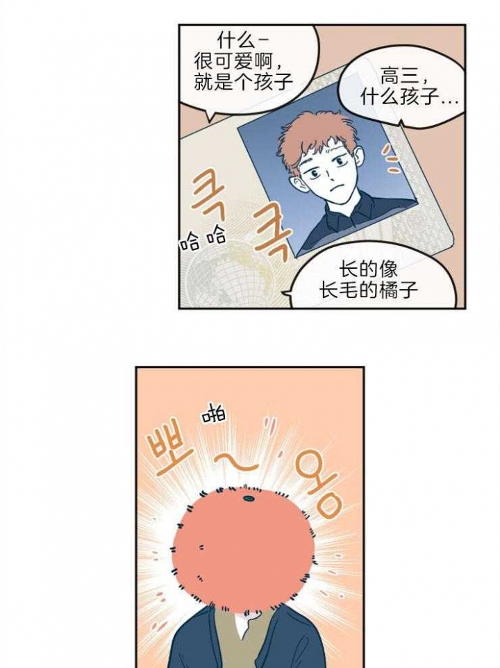 百分百的羊毛大衣可以水洗吗漫画,第31话2图