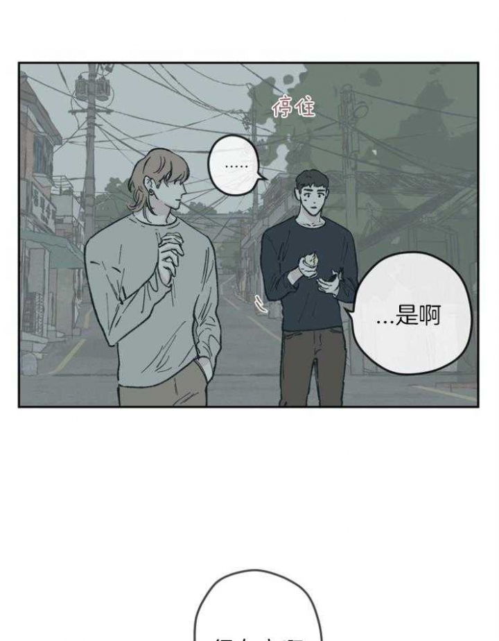 百分百的绵羊毛大衣好不好漫画,第51话2图