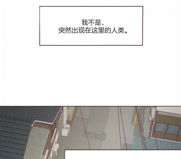 鬼怪游乐场txt春刀寒漫画,第124话2图