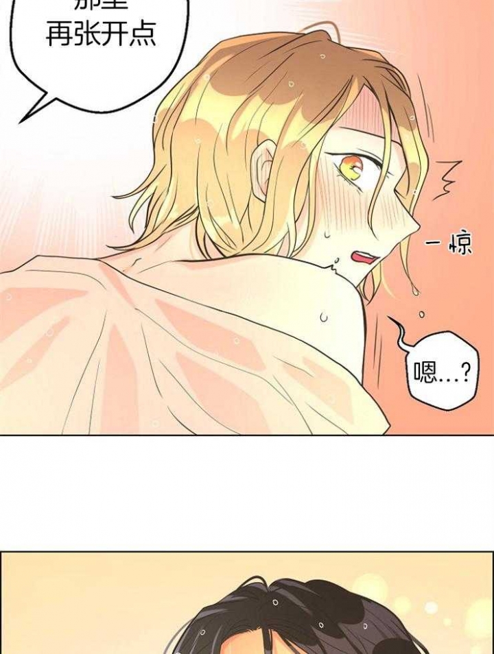 逃跑计划(I+II季)漫画,第82话1图