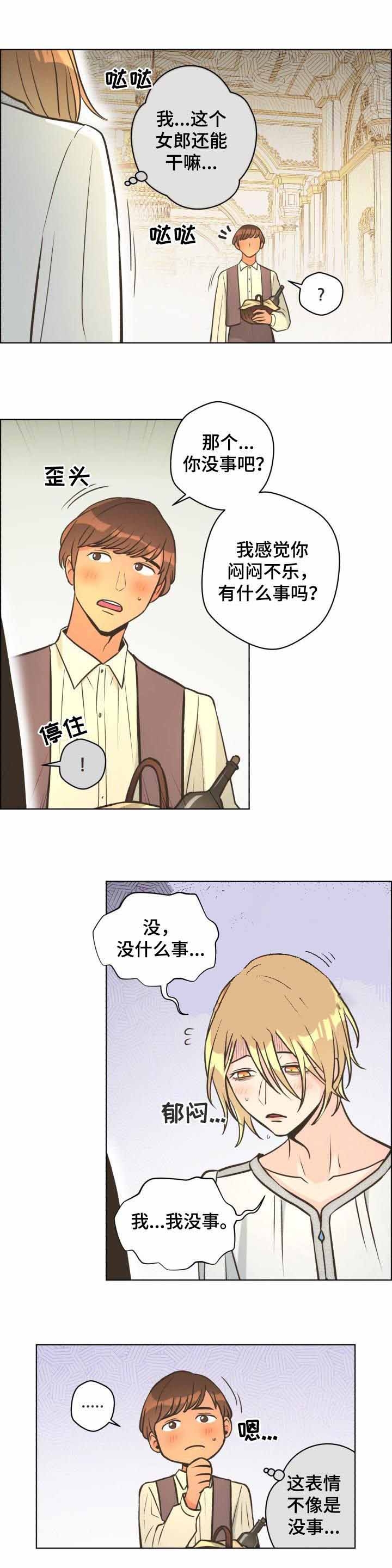 海鸥逃跑计划漫画,第42话1图