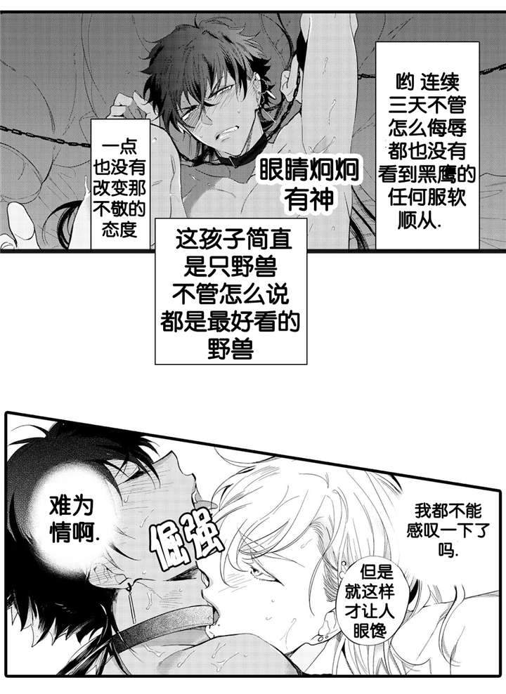 撒哈拉沙漠的黑鹰漫画,第6话2图