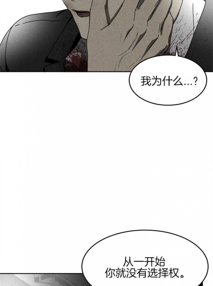 毒蛇英文漫画,第16话2图