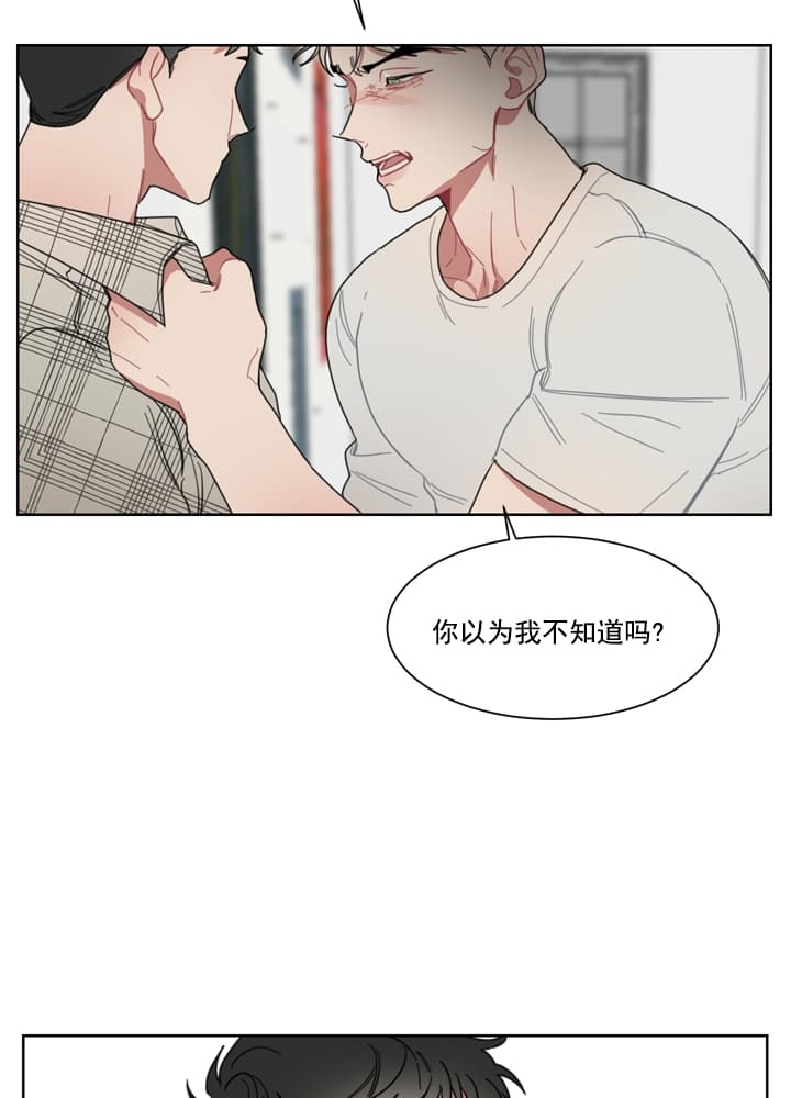 冰糖的作用和功效漫画,第7话1图