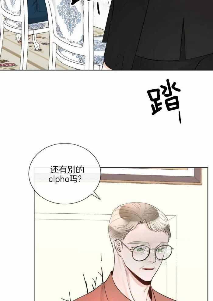 阿尔法罗密欧f1车队漫画,第88话1图