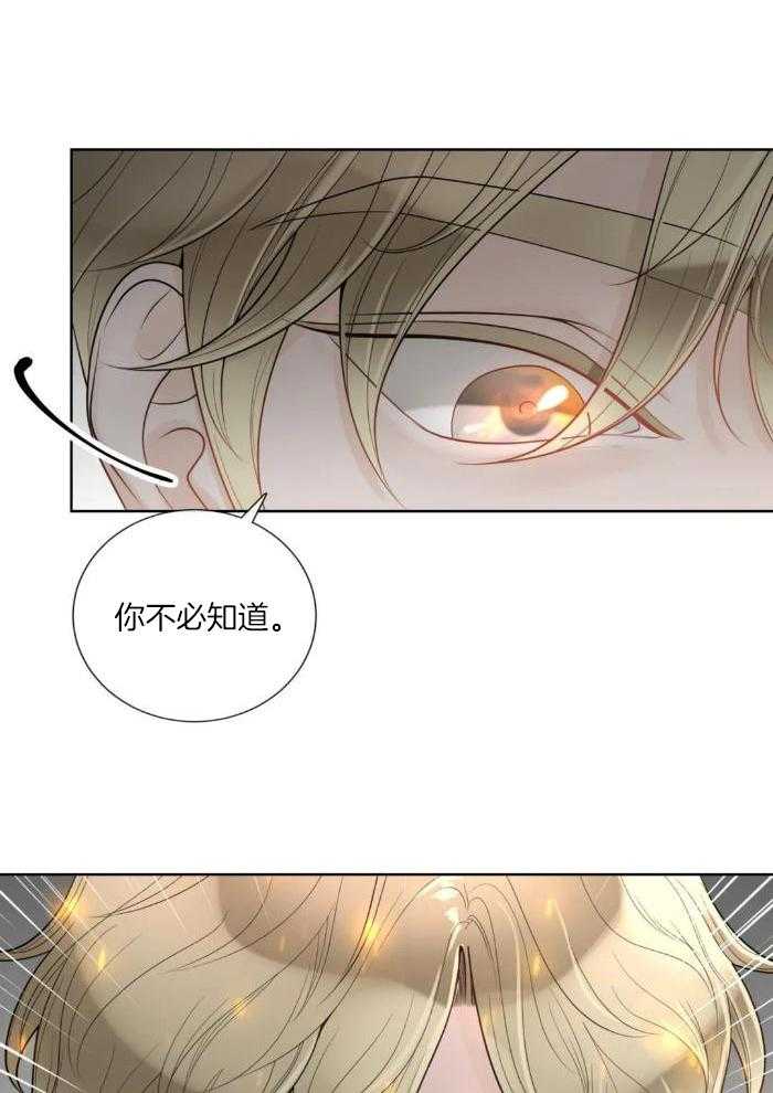 阿尔法罗密欧f1车队漫画,第88话2图