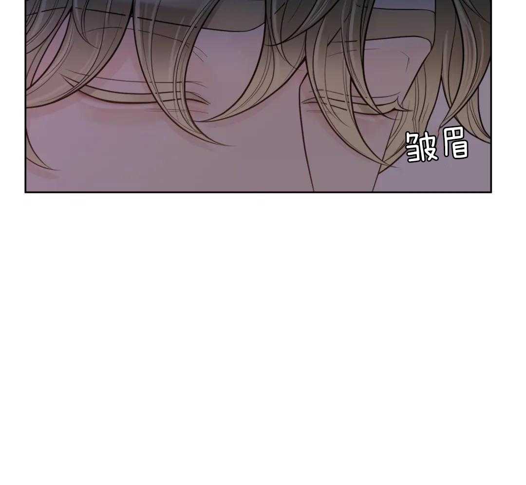 阿尔法罗密欧f1车队漫画,第98话1图