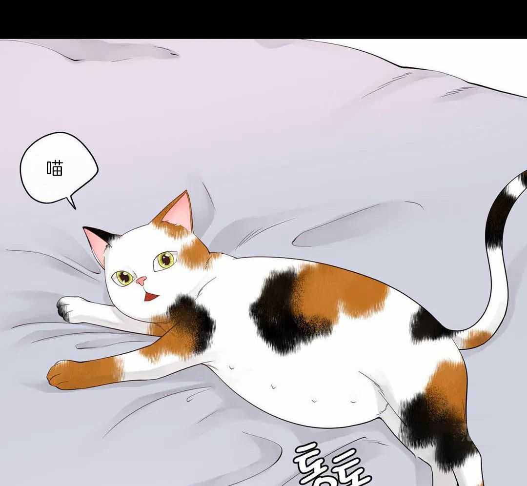 阿尔法罗密欧f1车队漫画,第95话1图