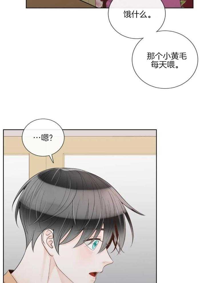 阿尔法罗密欧f1车队漫画,第89话1图
