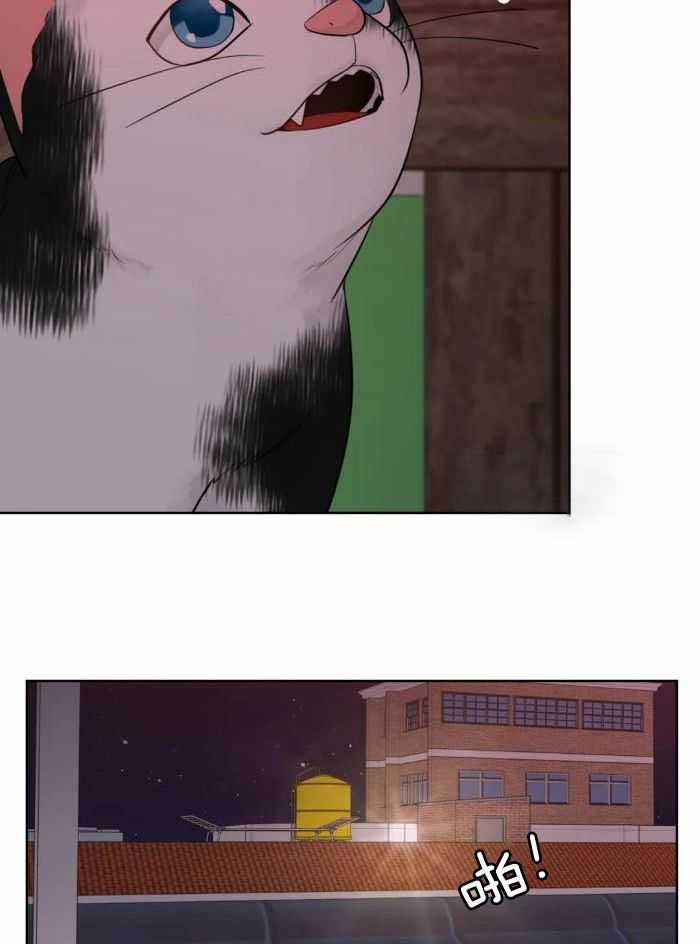 阿尔法罗密欧f1车队漫画,第90话1图