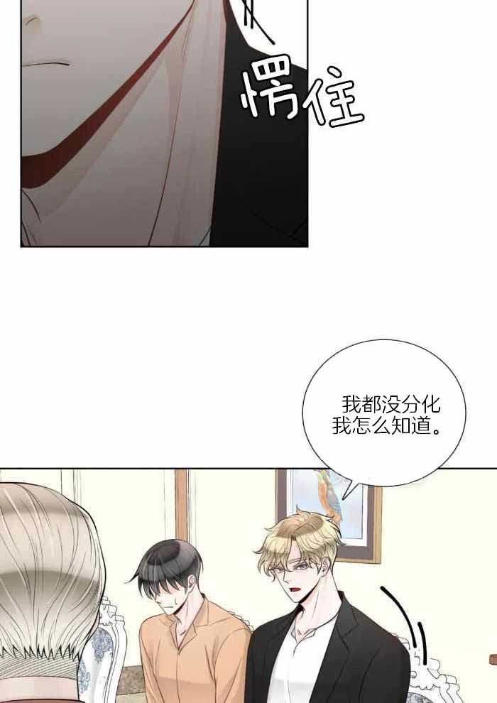 阿尔法罗密欧f1车队漫画,第88话1图