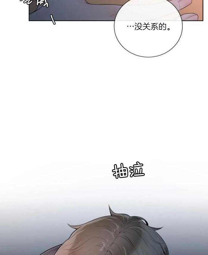 阿尔法罗密欧f1车队漫画,第79话1图