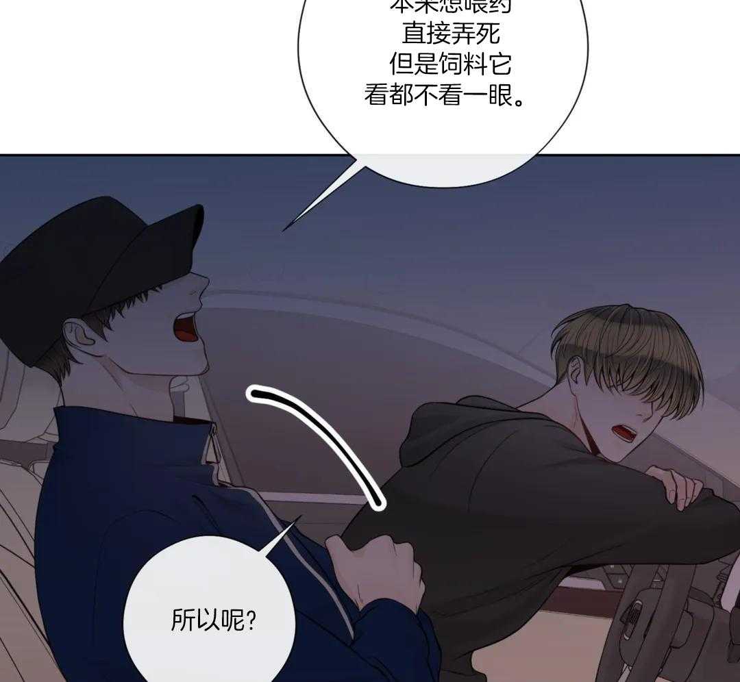 阿尔法罗密欧f1车队漫画,第97话2图