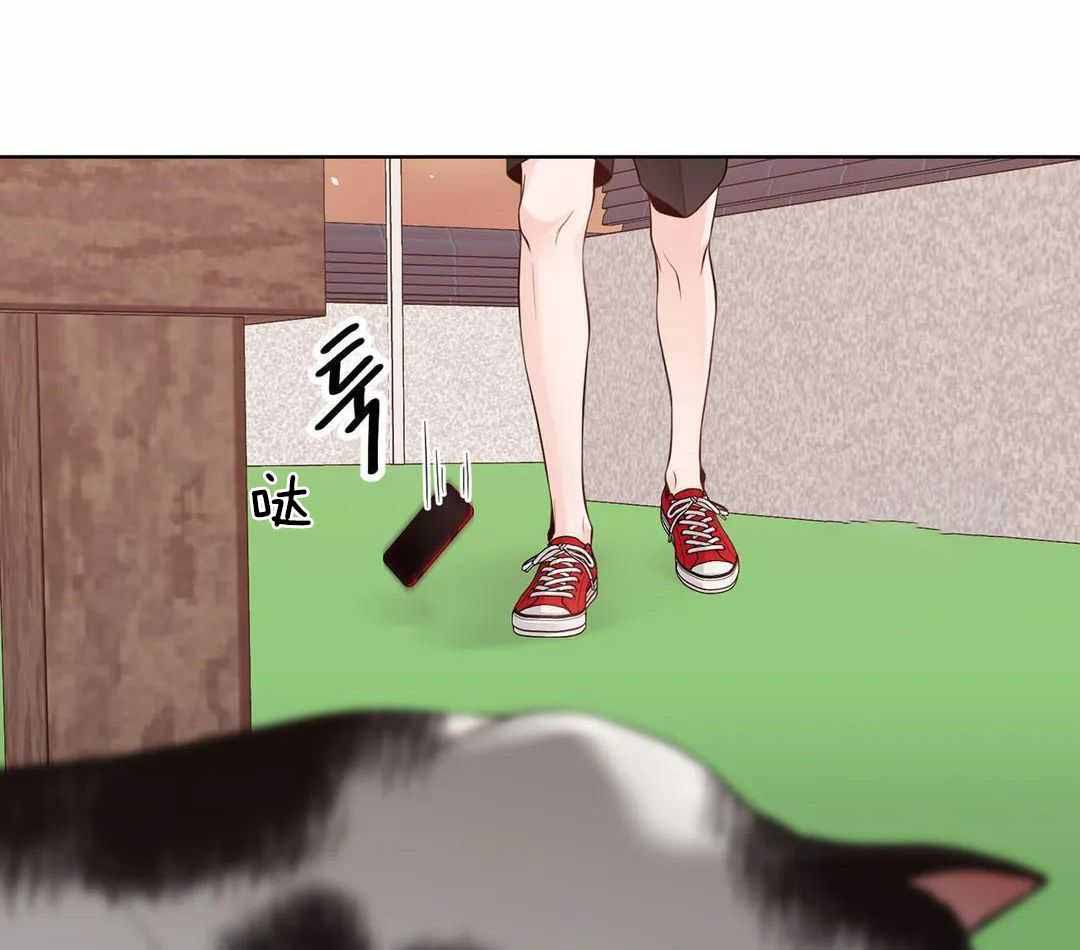 阿尔法罗密欧f1车队漫画,第96话2图