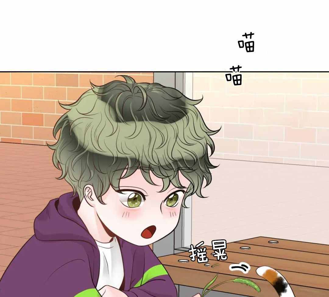 阿尔法罗密欧f1车队漫画,第93话1图