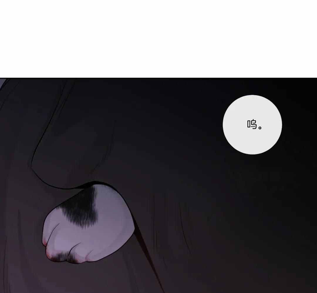 阿尔法罗密欧f1车队漫画,第98话1图