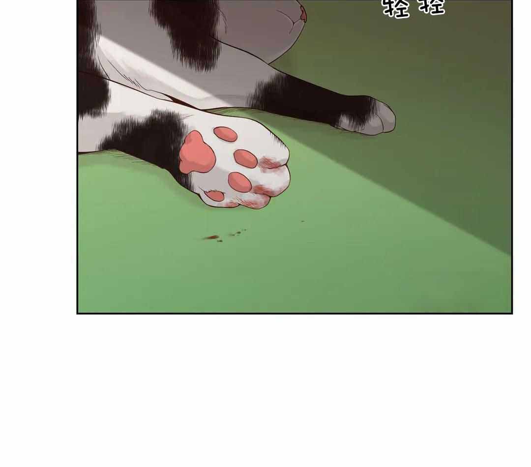阿尔法罗密欧f1车队漫画,第96话2图