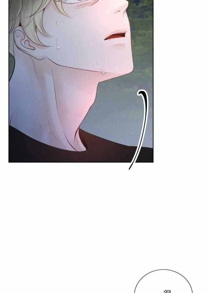 阿尔法罗密欧f1车队漫画,第79话2图