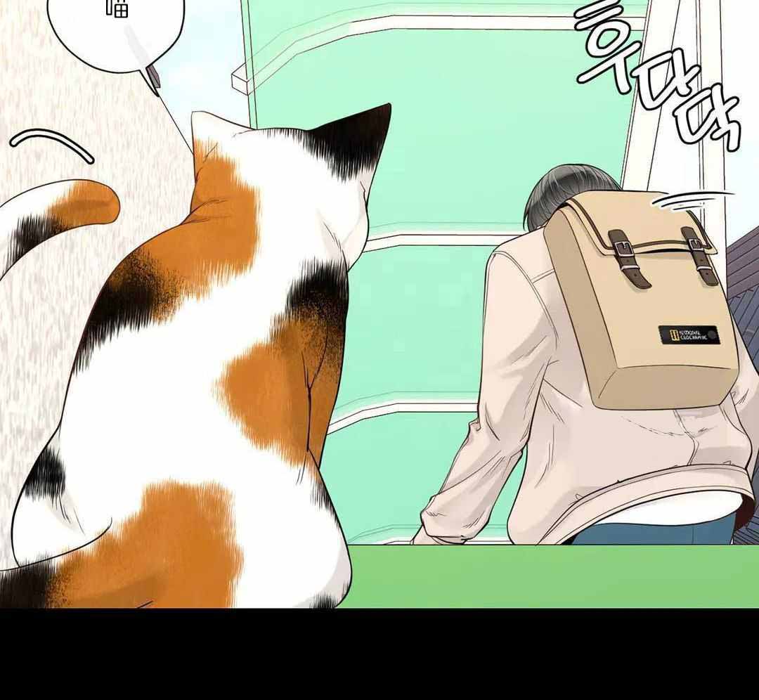 阿尔法罗密欧f1车队漫画,第95话1图