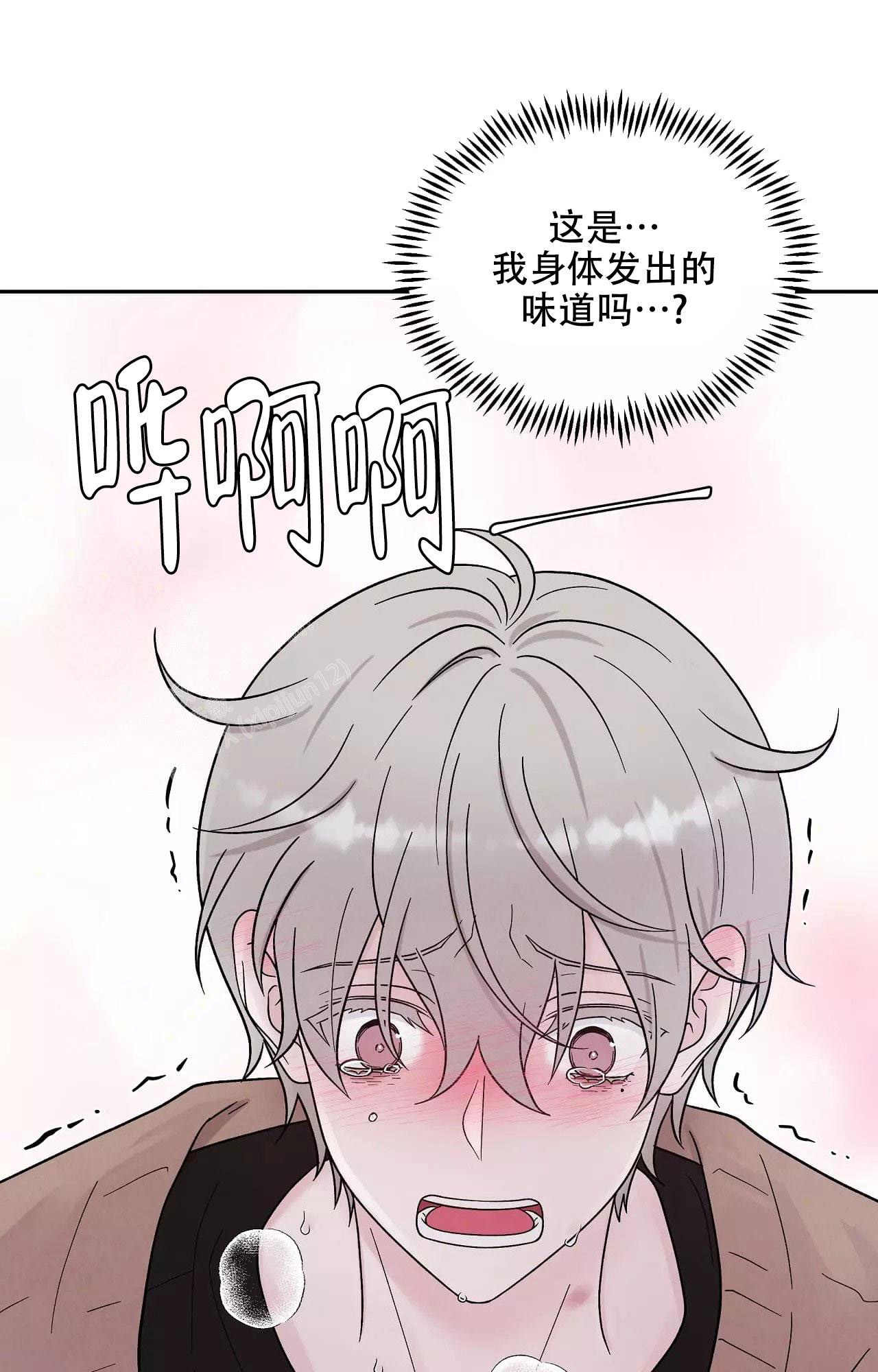 命中注定的他漫画,第15话1图