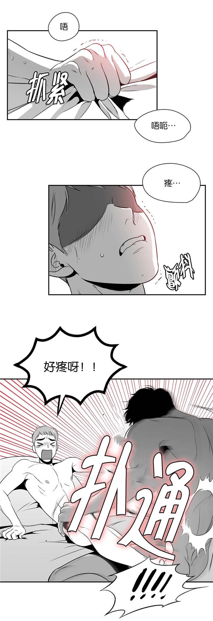 放鹰是什么意思金融漫画,第19话2图