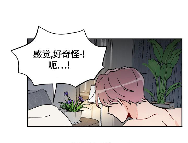 不期而遇的图片漫画,第14话2图